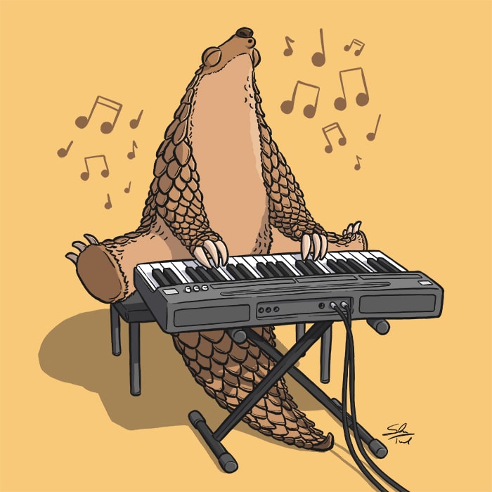 A cartoon illustration of a pangolin (scaly anteater) playing piano.