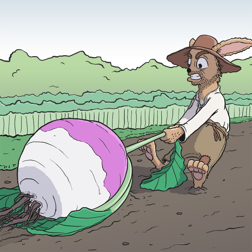 A rabbit character struggling to drag a large turnip